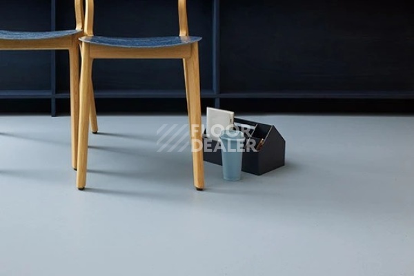 Линолеум Marmoleum Decibel on Order 358635 indigo milk фото 1 | FLOORDEALER